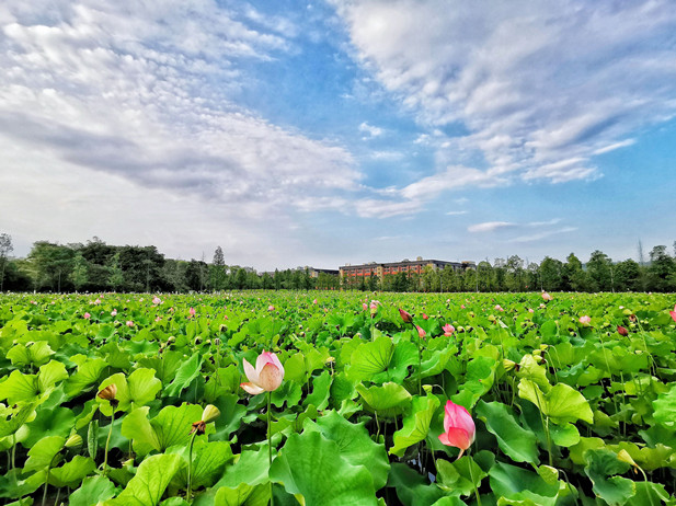 1690425517226091258.jpg 3.jpg