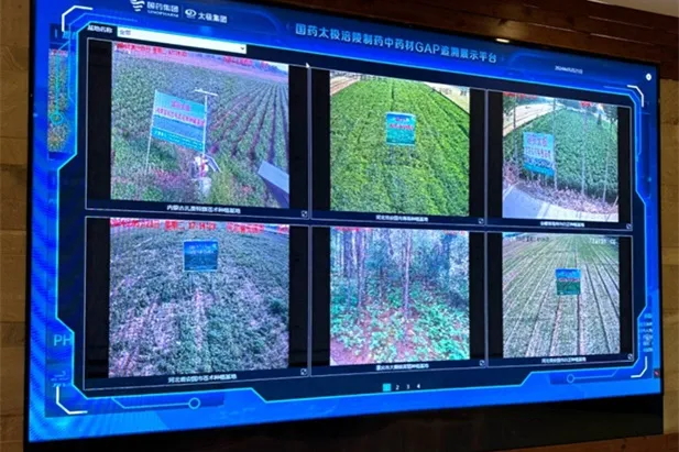 1721115997418032889.jpg 2_看圖王.web.jpg