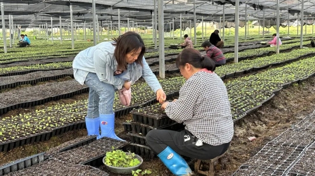 1741672542840044142.jpg 4.jpg