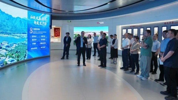 1749114660527069870.jpg 2_副本.jpg