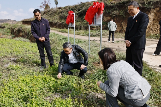 實地調(diào)研 (4).jpg