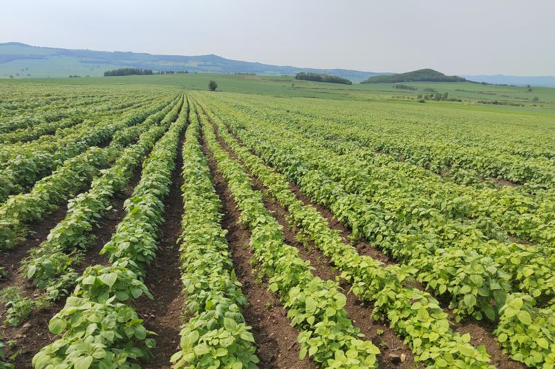 1767665898308026353.png 6.png