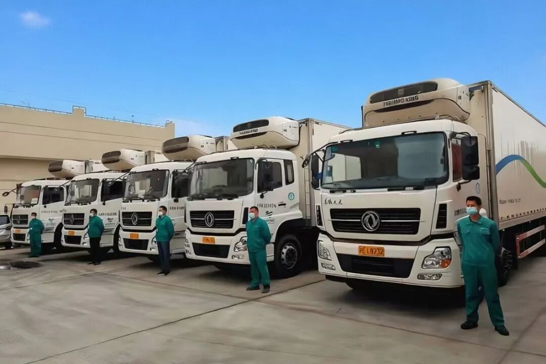 1768273337251077483.jpg 1.jpg