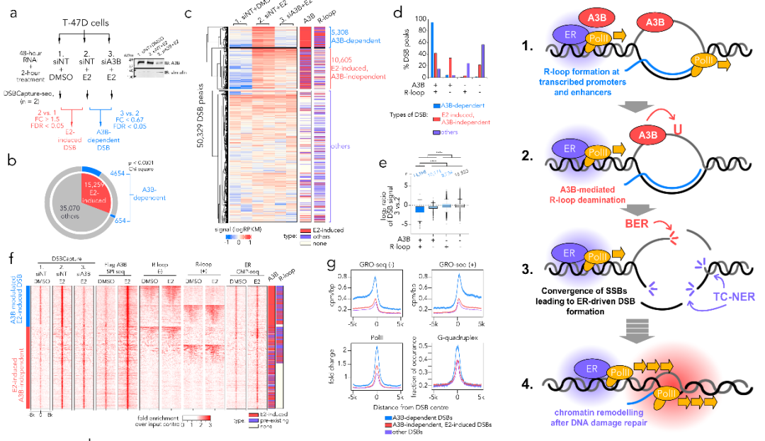 1772082924159079293.png 2.png